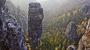 Sächsische Schweiz Sandstein Felsnadel ragt über Wald